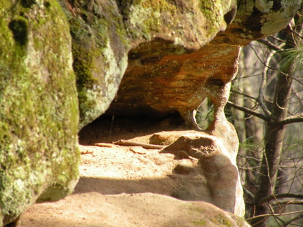 Bughead Rock - Koomer Ridge Trail